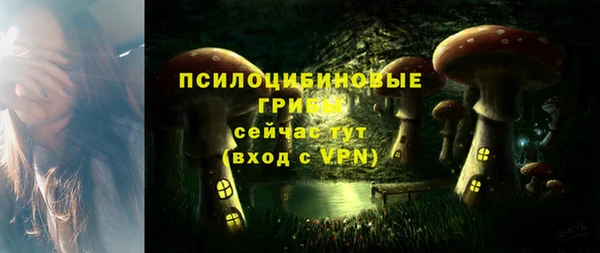 прущий лед Белокуриха