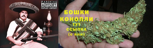 прущий лед Белокуриха